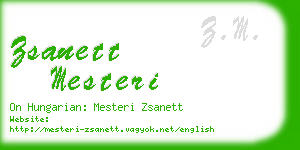 zsanett mesteri business card